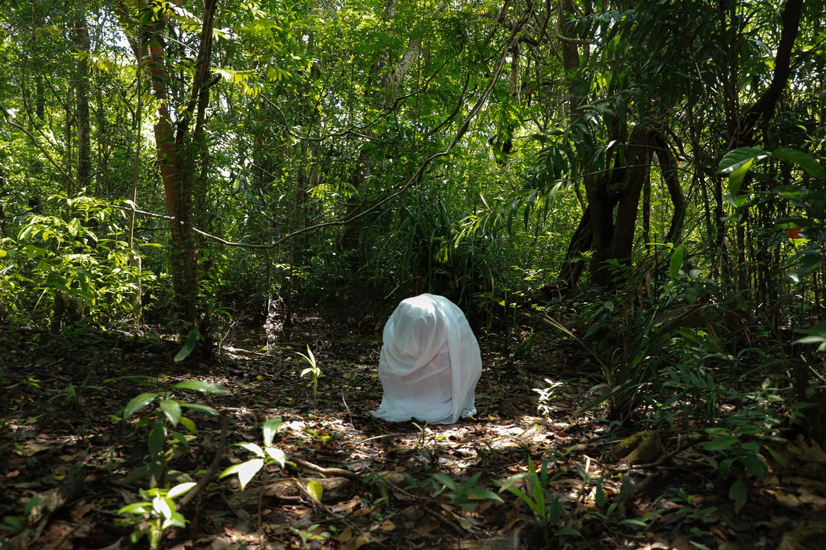 Estudos Marajó