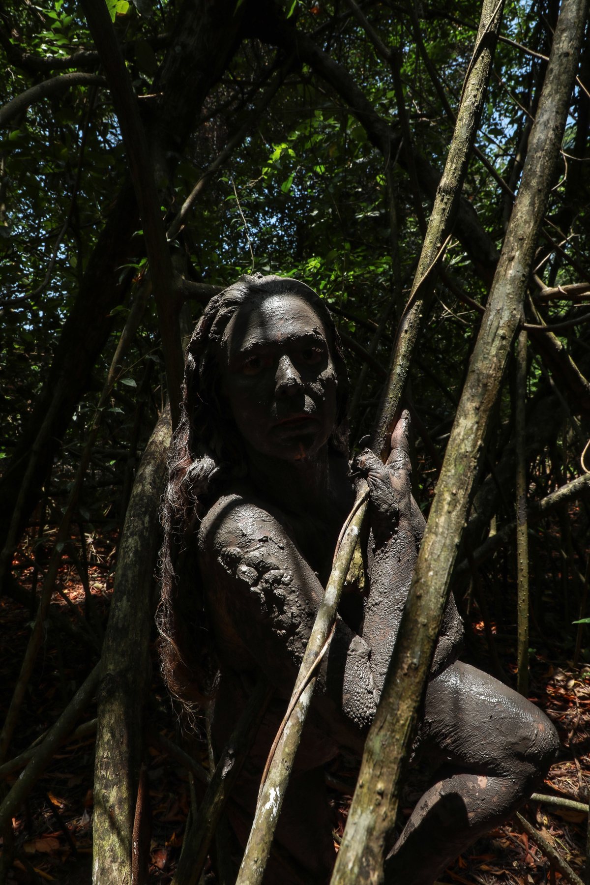 Estudos Marajó