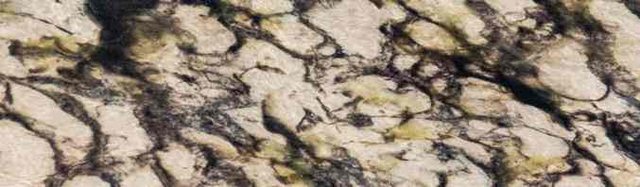 Texturas
