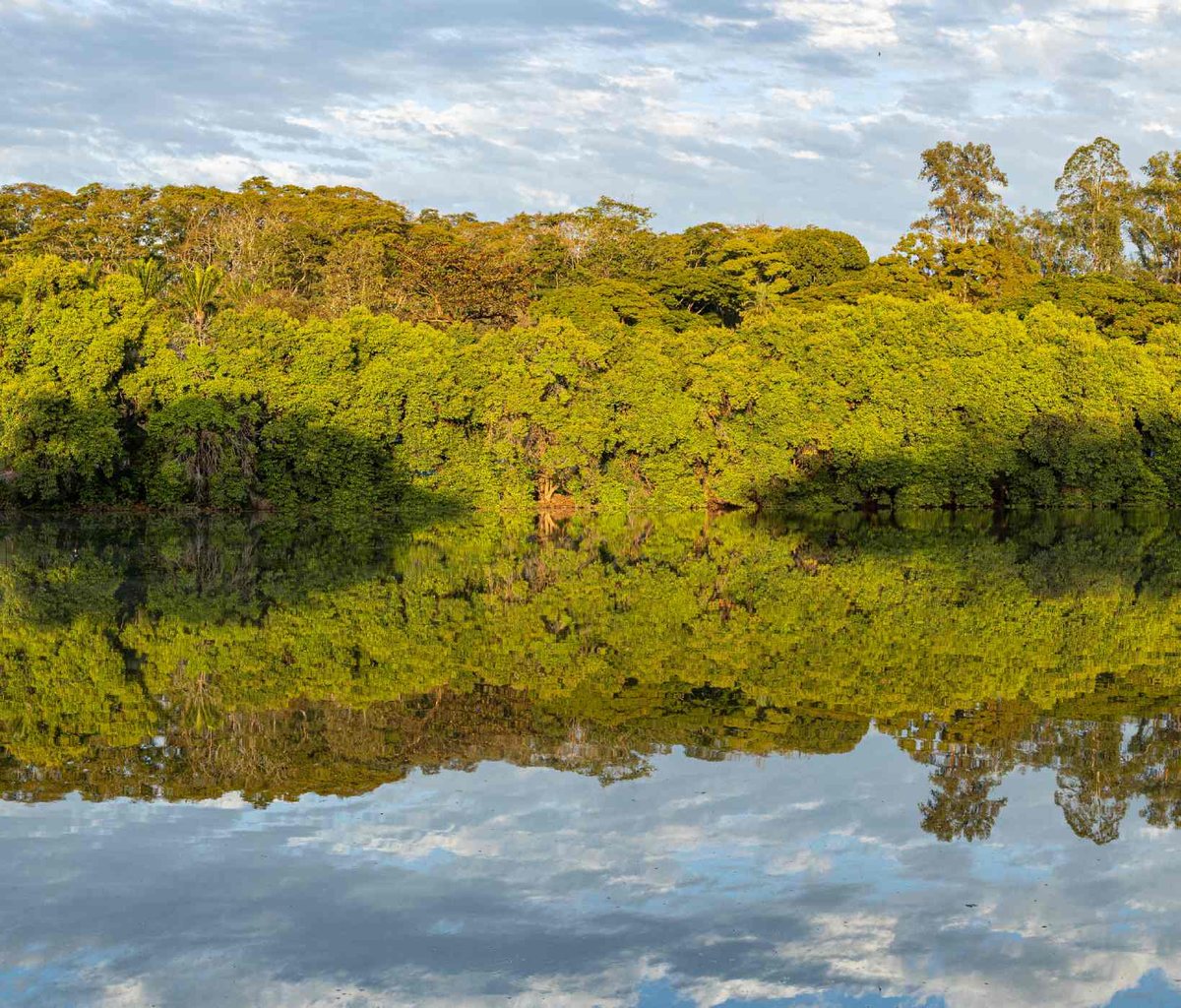 Refletir