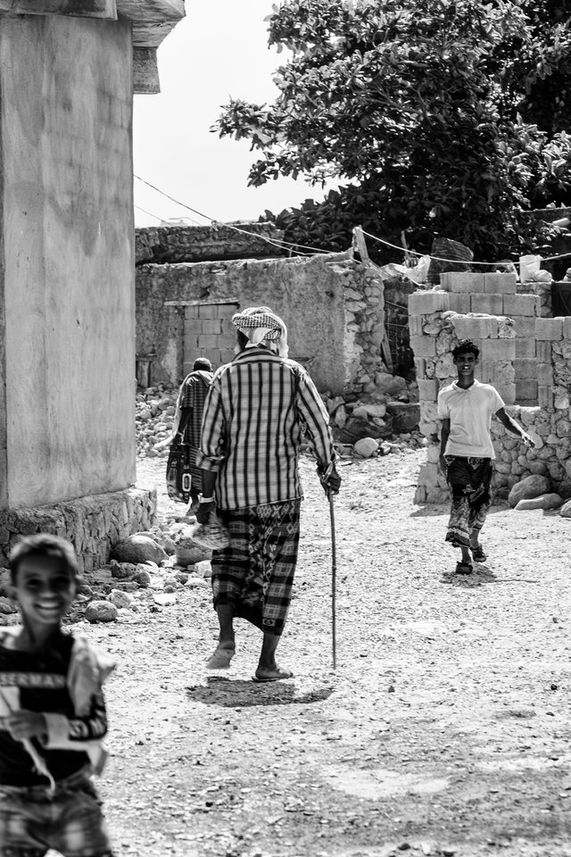 Sem título, Socotra