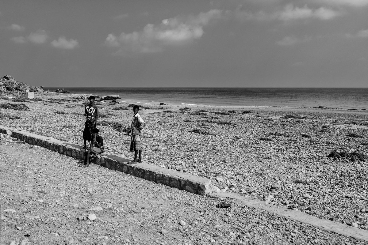 Sem título, Socotra