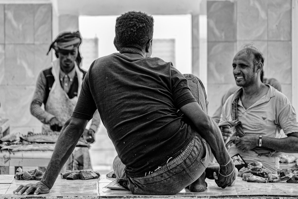 Sem título, Socotra