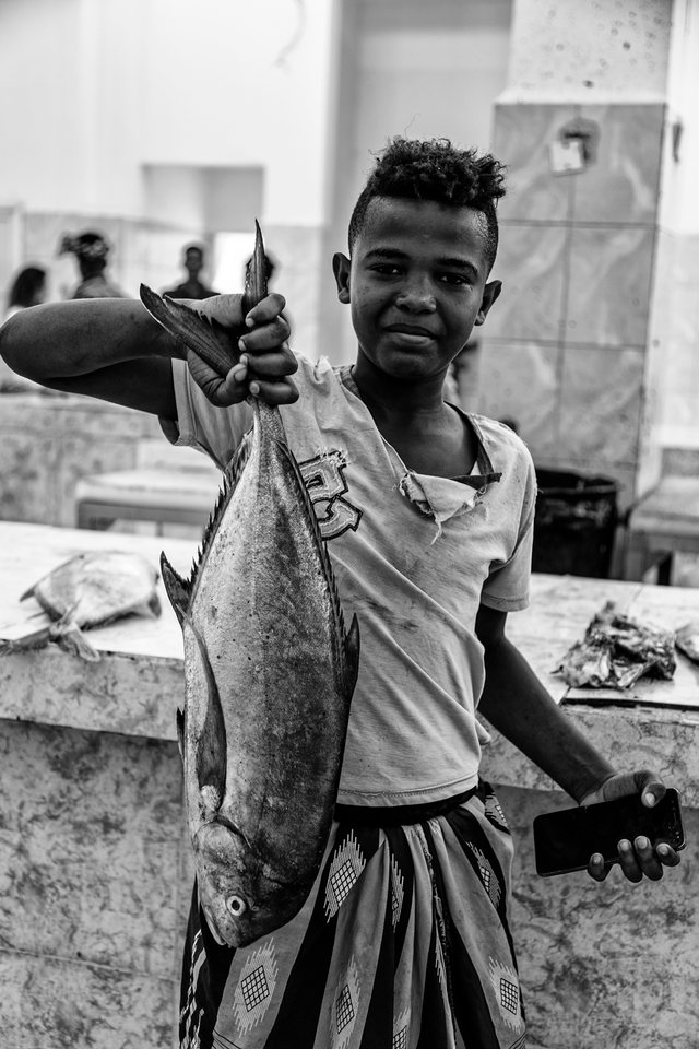 Sem título, Socotra