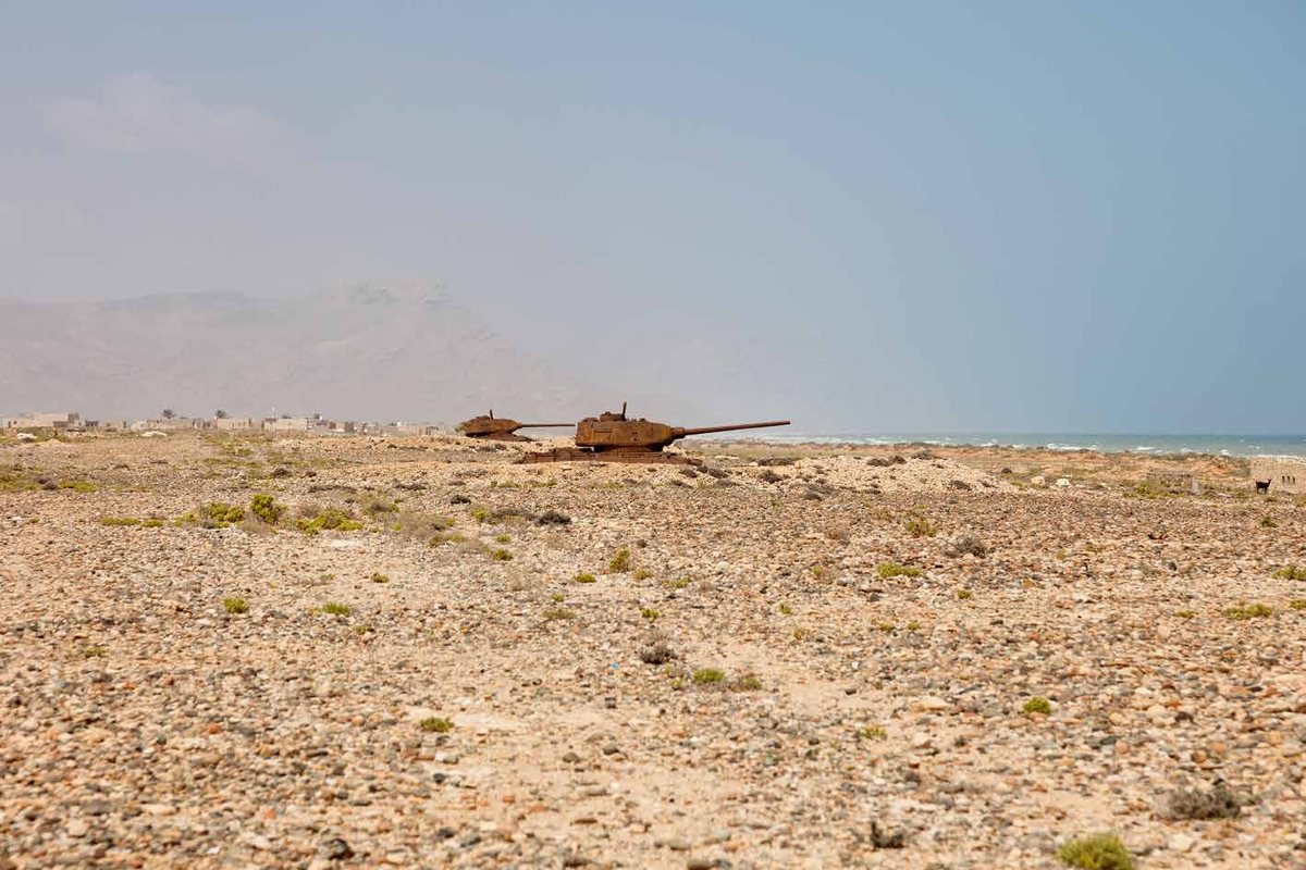Sem título, Socotra