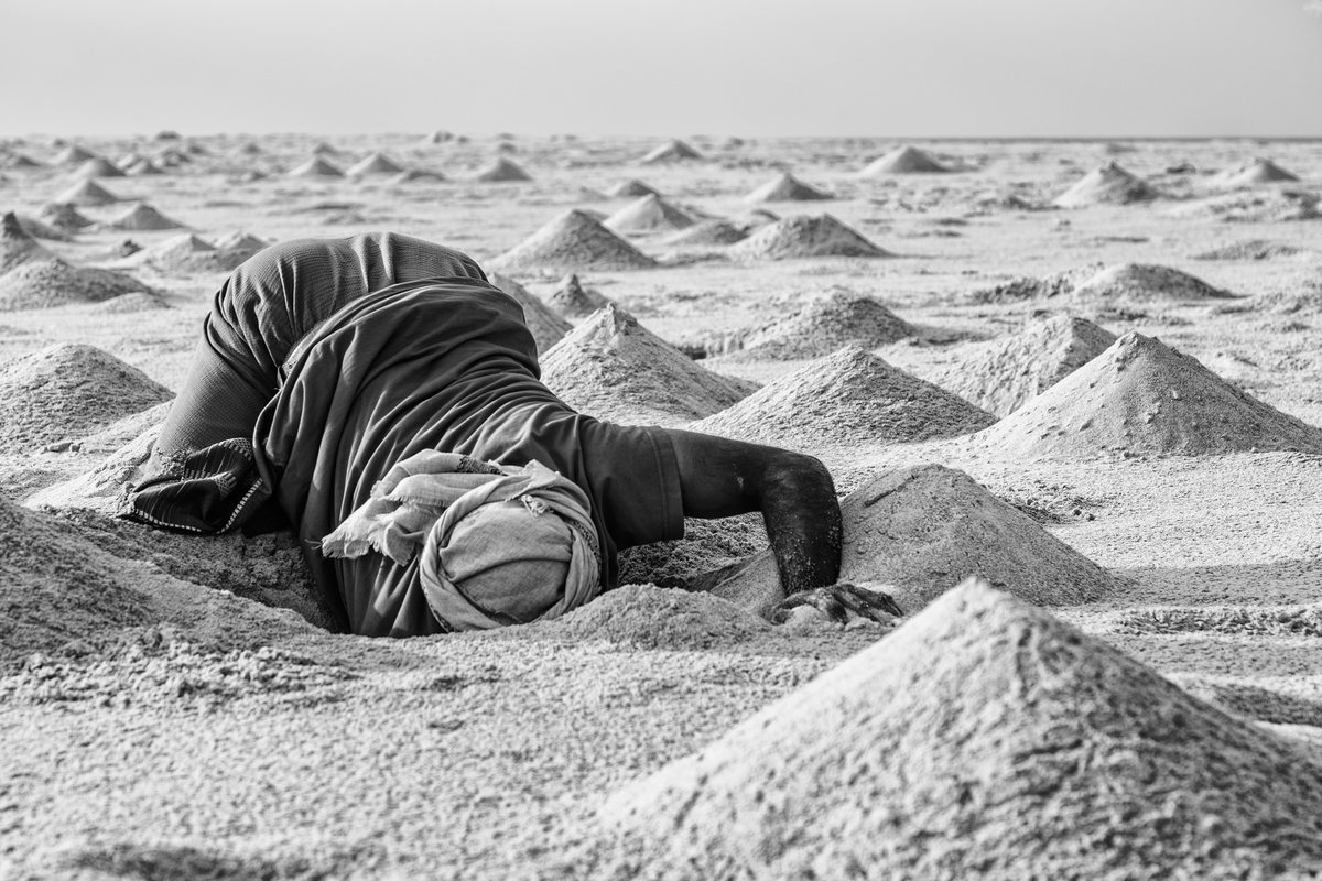 Sem título, Socotra